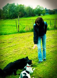 Hundeschule Renate Dohrmann, Bonn: Hundeausbildung