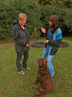 Hundeschule Renate Dohrmann, Bonn: Einzelunterricht