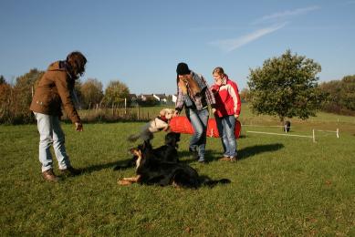 Hundeschule Renate Dohrmann, Bonn: Jugendkurs