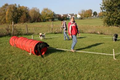 Hundeschule Renate Dohrmann, Bonn: Jugendkurs