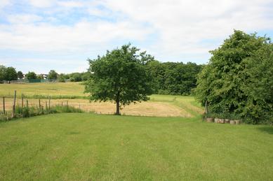 Hundeschule Renate Dohrmann, Bonn: Hundeplatz