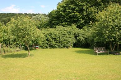 Hundeschule Renate Dohrmann, Bonn: Hundeplatz