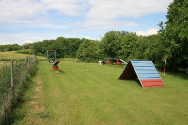 Hundeschule Renate Dohrmann, Bonn: Hundeplatz